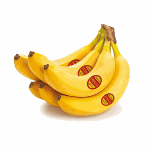 موز إستريلا فلبيني