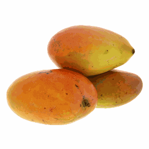 مانجو كينية طويلة